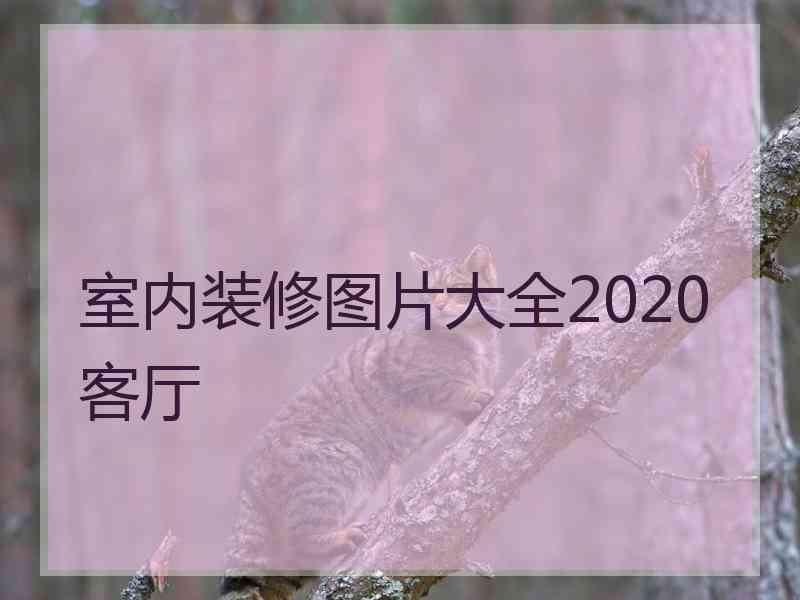 室内装修图片大全2020客厅