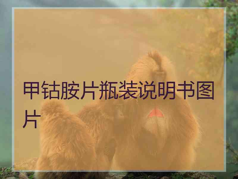 甲钴胺片瓶装说明书图片