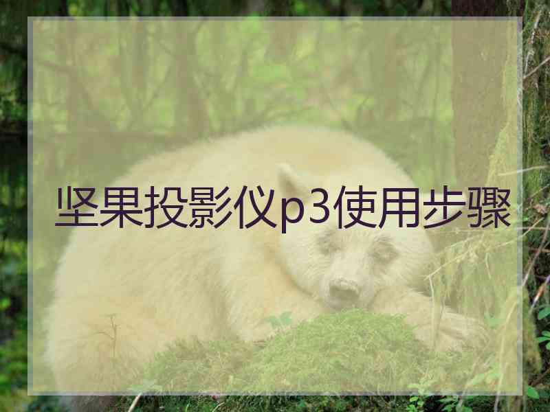 坚果投影仪p3使用步骤