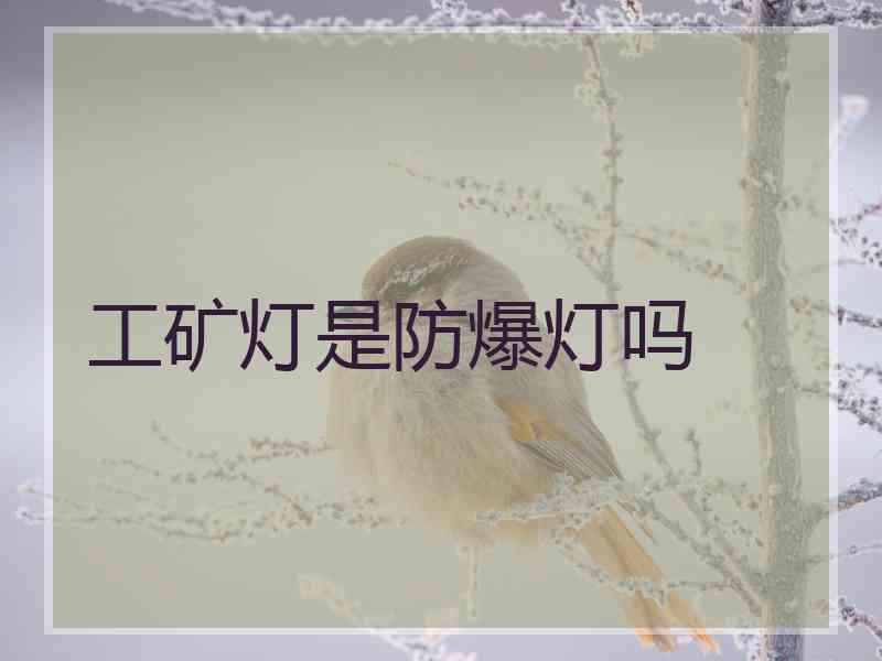 工矿灯是防爆灯吗