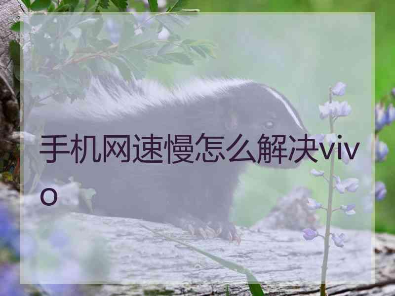 手机网速慢怎么解决vivo