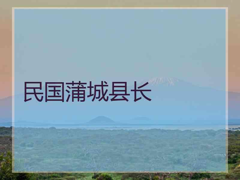 民国蒲城县长