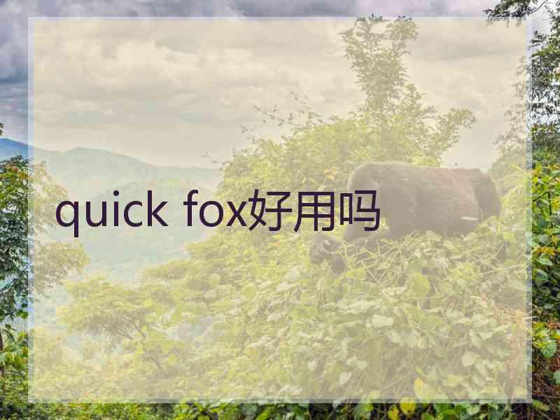 quick fox好用吗