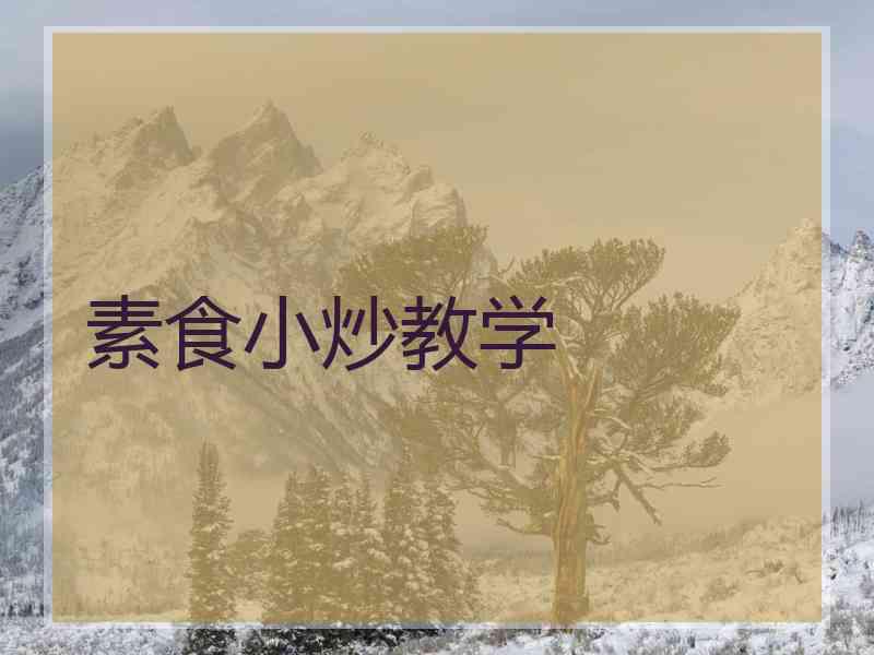 素食小炒教学