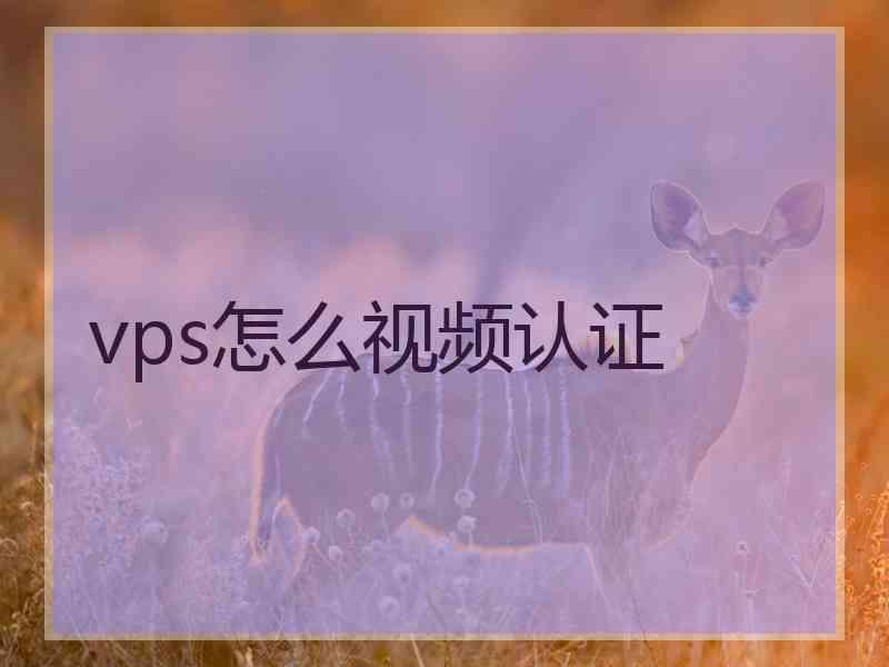 vps怎么视频认证