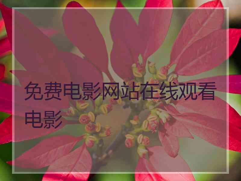 免费电影网站在线观看电影