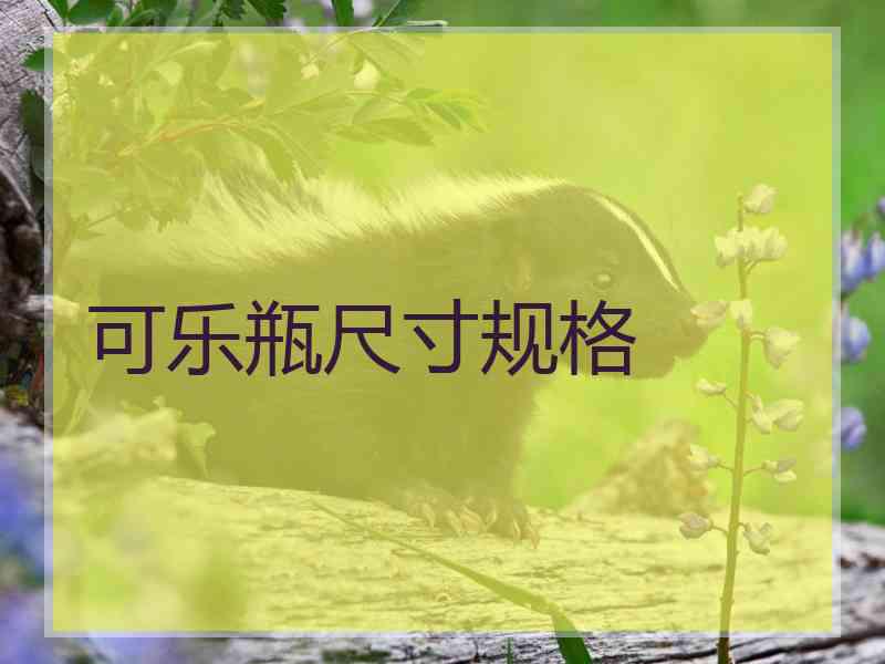 可乐瓶尺寸规格