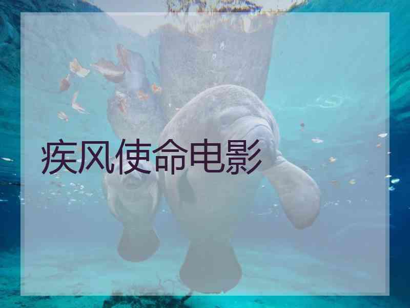 疾风使命电影