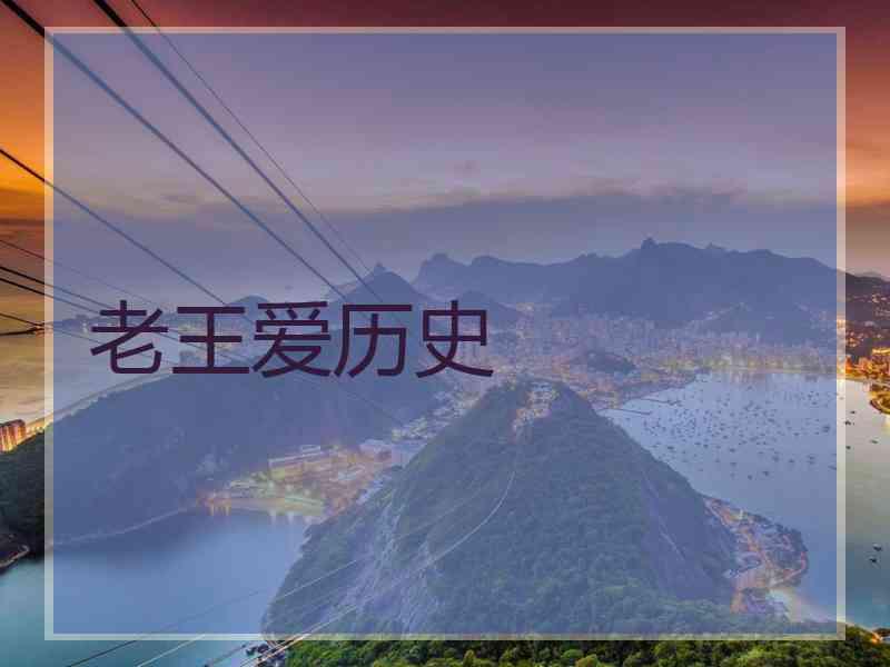 老王爱历史