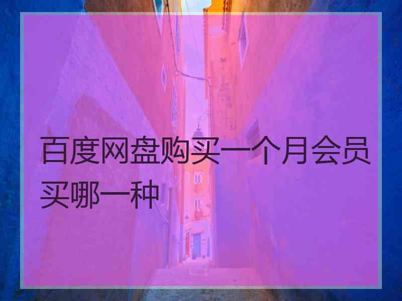百度网盘购买一个月会员买哪一种