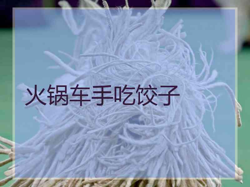 火锅车手吃饺子
