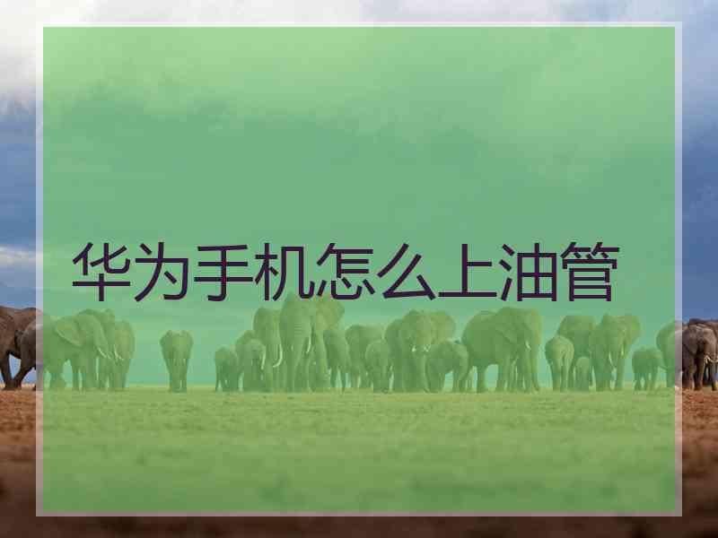 华为手机怎么上油管