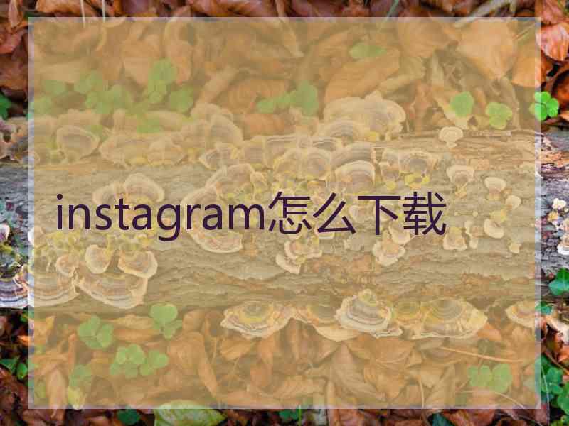 instagram怎么下载