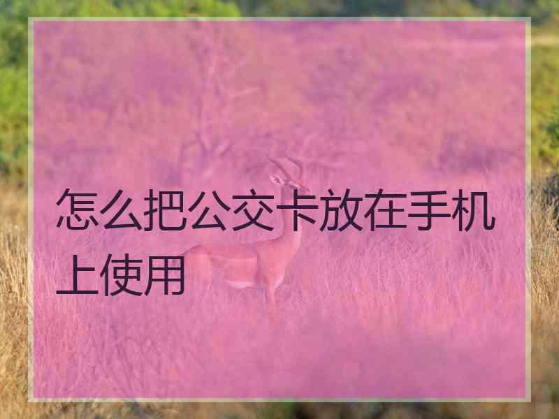 怎么把公交卡放在手机上使用