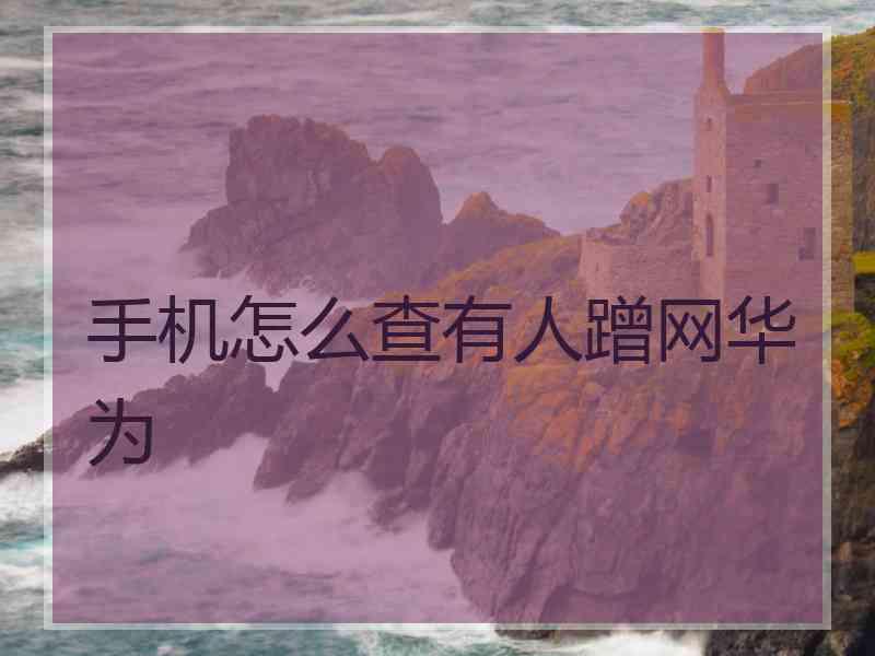 手机怎么查有人蹭网华为