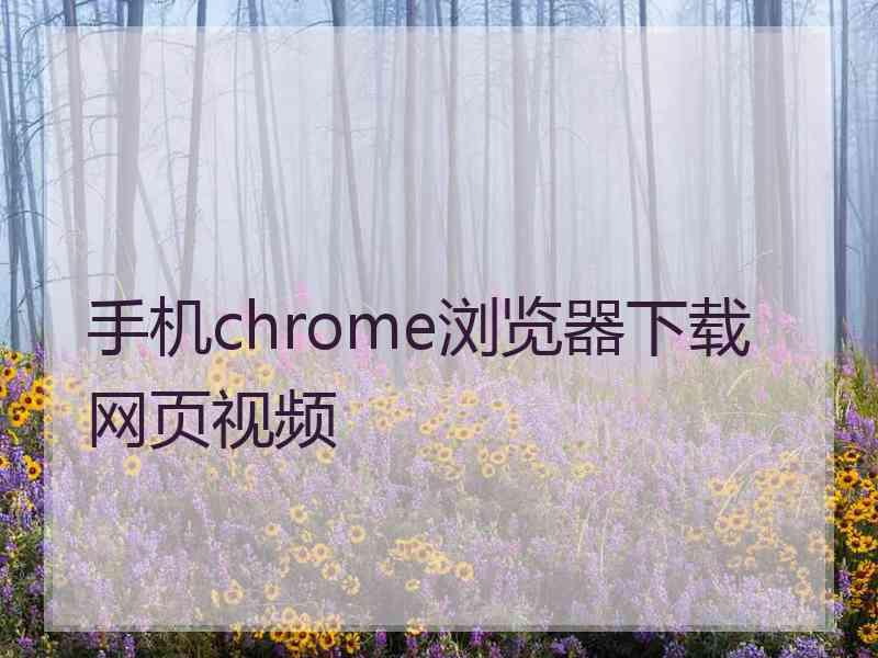 手机chrome浏览器下载网页视频