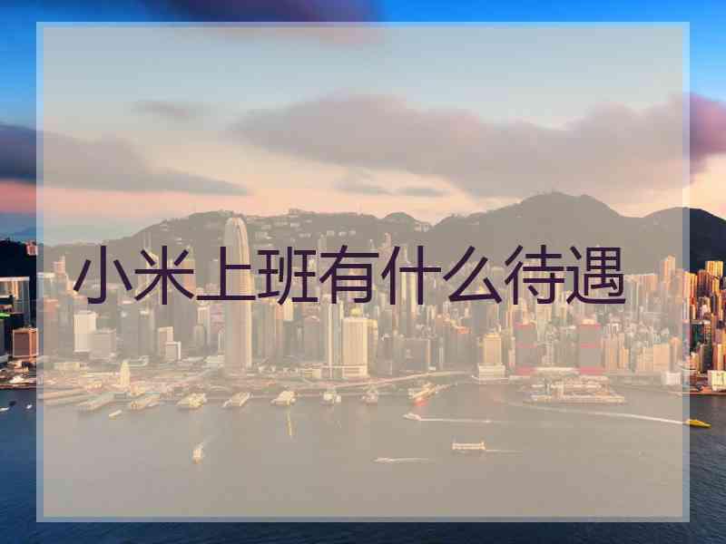 小米上班有什么待遇