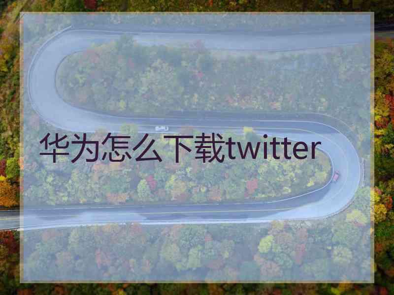 华为怎么下载twitter
