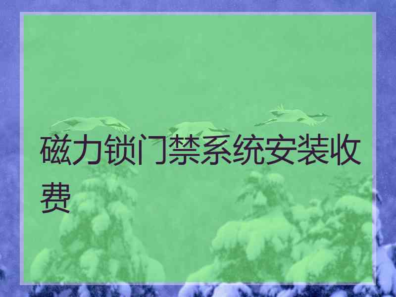 磁力锁门禁系统安装收费