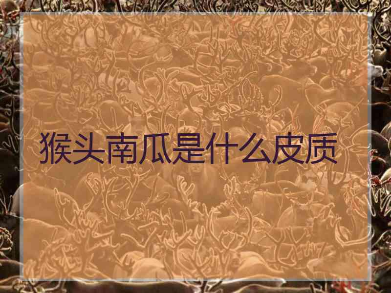 猴头南瓜是什么皮质
