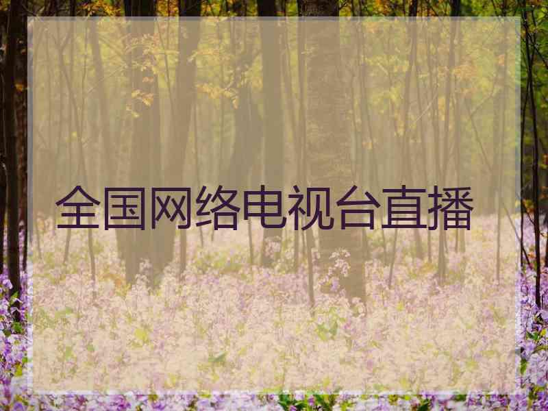 全国网络电视台直播