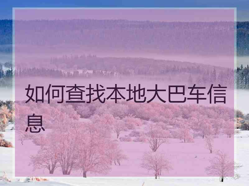 如何查找本地大巴车信息