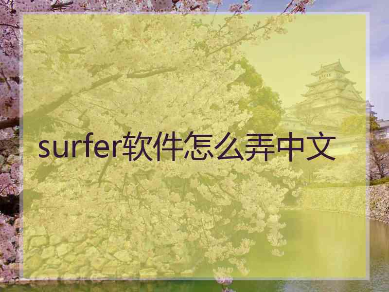 surfer软件怎么弄中文