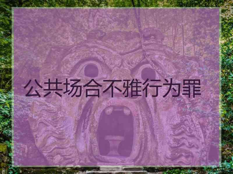公共场合不雅行为罪