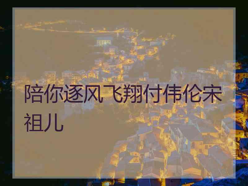 陪你逐风飞翔付伟伦宋祖儿