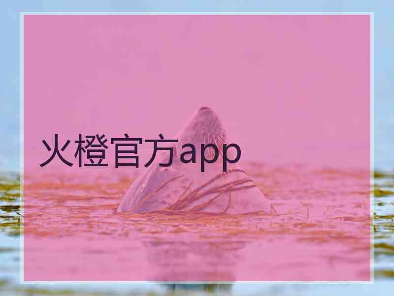 火橙官方app