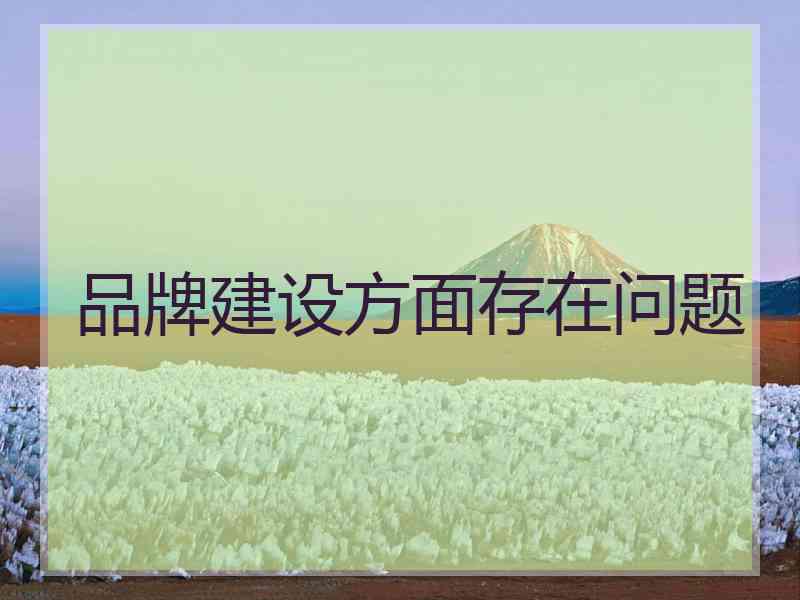 品牌建设方面存在问题