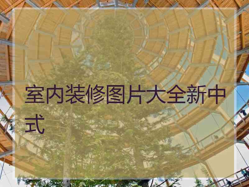 室内装修图片大全新中式