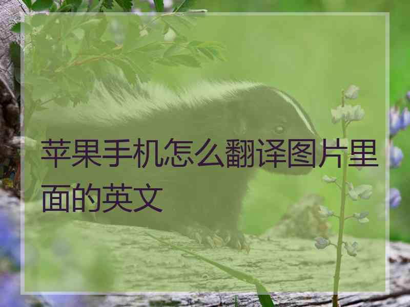 苹果手机怎么翻译图片里面的英文