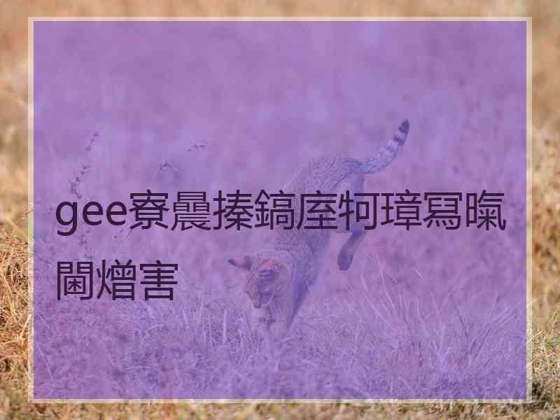 gee寮曟搸鎬庢牱璋冩暣閫熷害