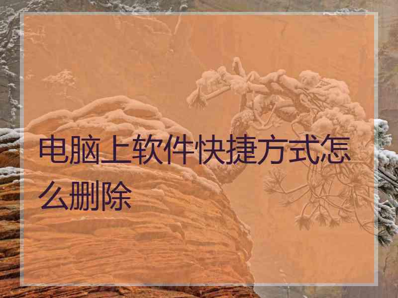 电脑上软件快捷方式怎么删除