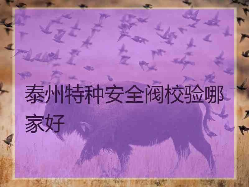 泰州特种安全阀校验哪家好