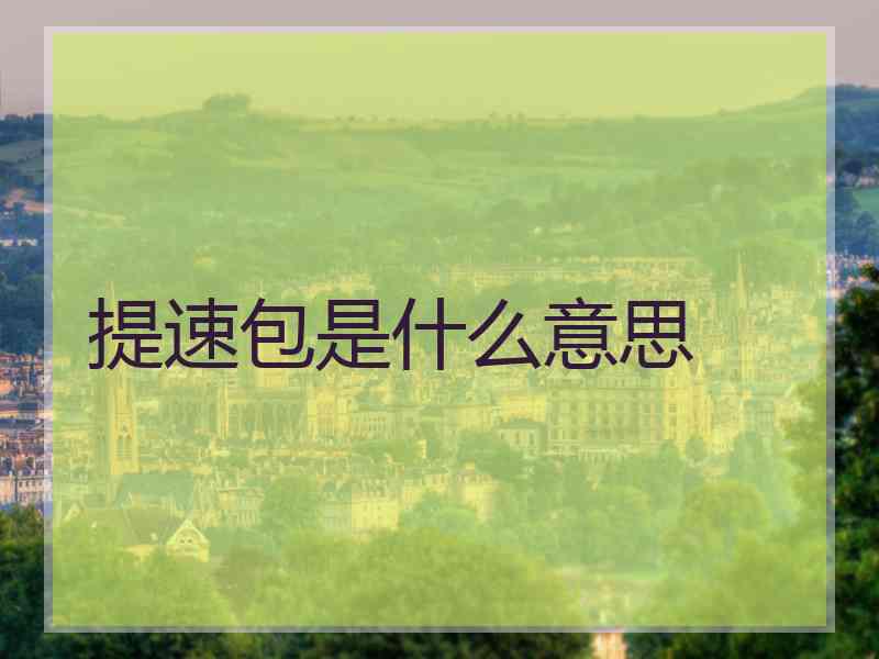 提速包是什么意思