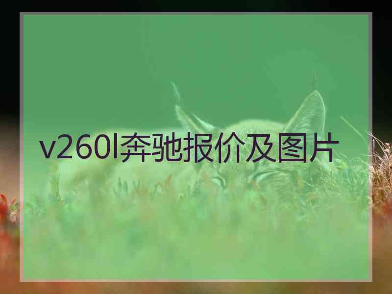v260l奔驰报价及图片