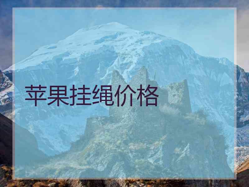 苹果挂绳价格
