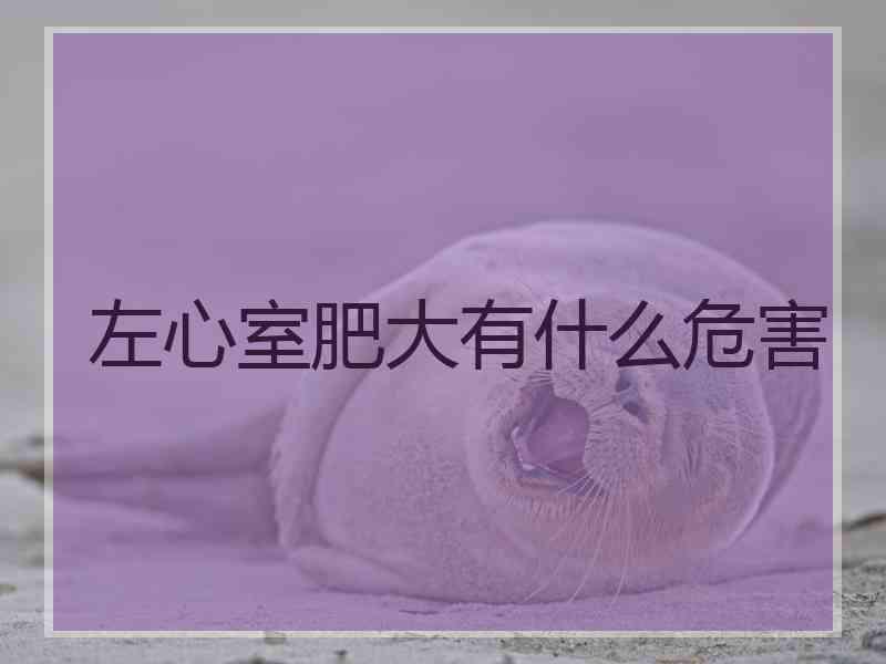 左心室肥大有什么危害