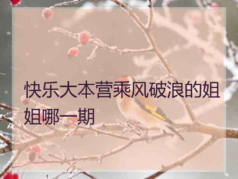 快乐大本营乘风破浪的姐姐哪一期