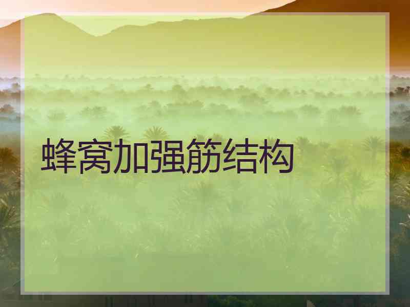 蜂窝加强筋结构