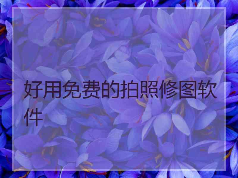 好用免费的拍照修图软件