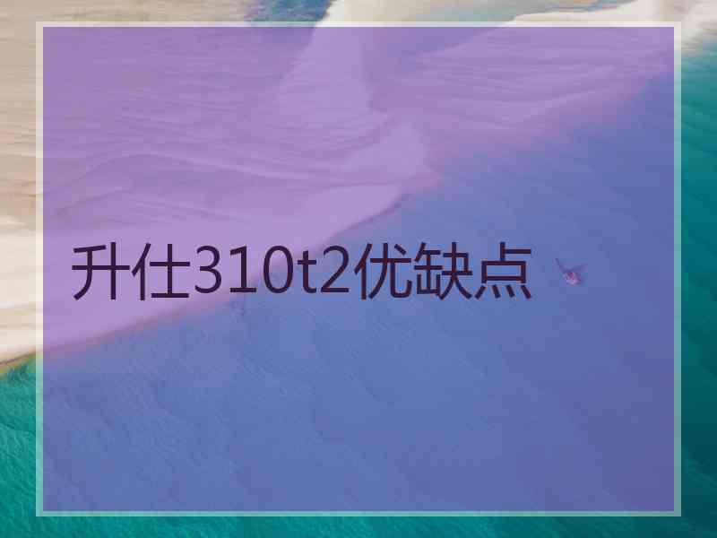 升仕310t2优缺点