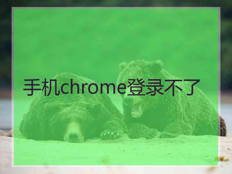 手机chrome登录不了