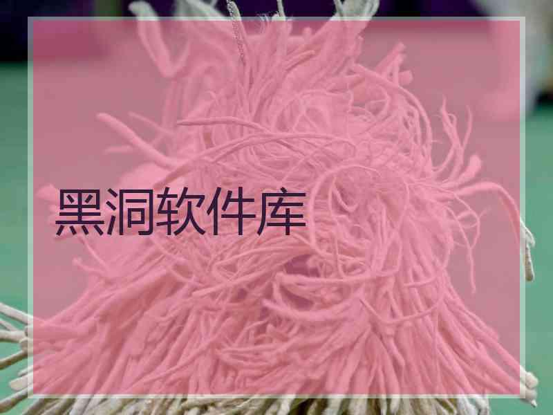黑洞软件库