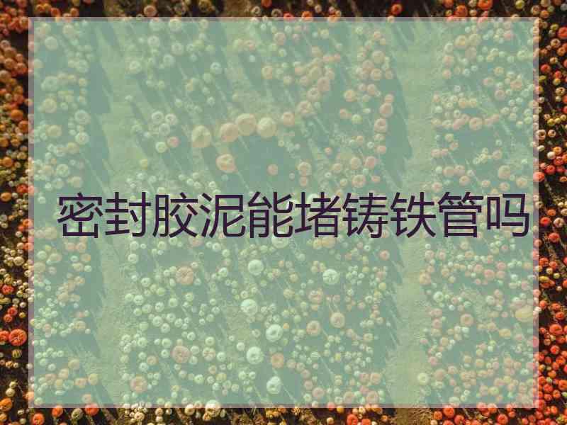 密封胶泥能堵铸铁管吗