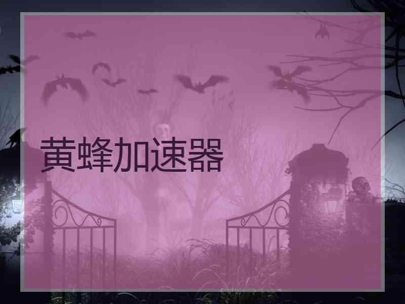 黄蜂加速器