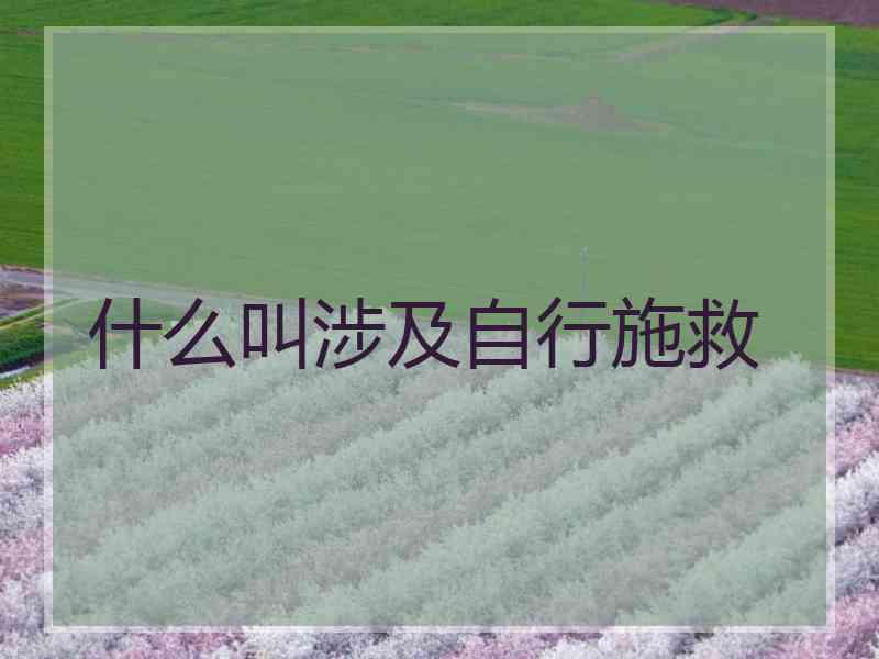 什么叫涉及自行施救
