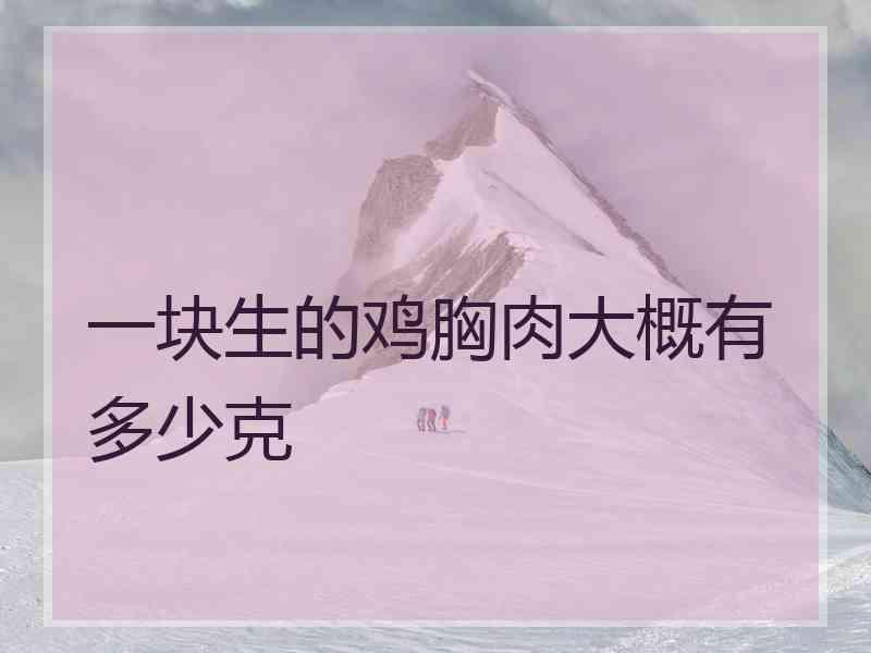 一块生的鸡胸肉大概有多少克